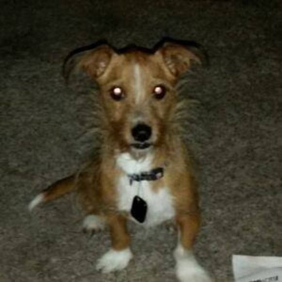 Meet your Posher, Jerod - Picture 1 of 1