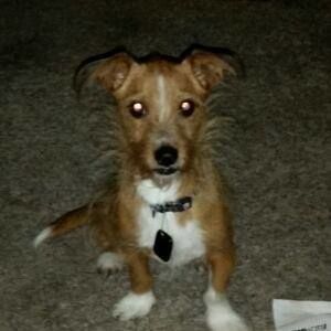 Meet your Posher, Jerod