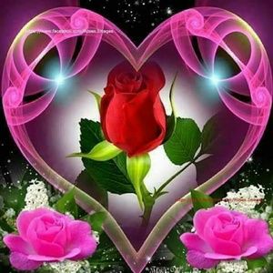 Meet your Posher, Zulema