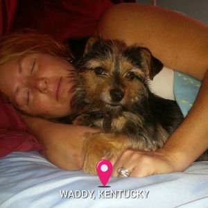 Meet your Posher, Tracy