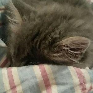 Meet your Posher, Kaylie