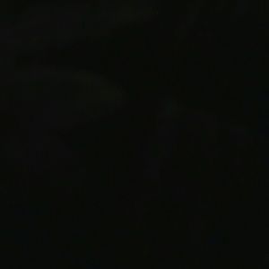 Meet your Posher, Tamara