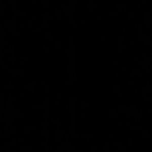 Meet your Posher, Loren