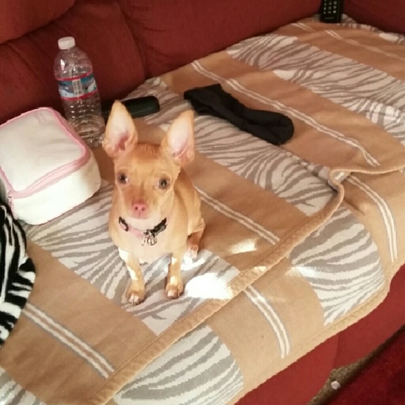 Meet your Posher, Gonzalo