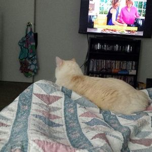 Meet your Posher, Heidi