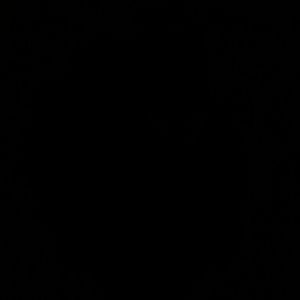 Meet your Posher, Jayasree