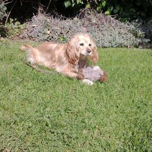 Meet your Posher, Robin