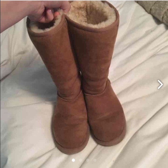 Tall chestnut ugg boots