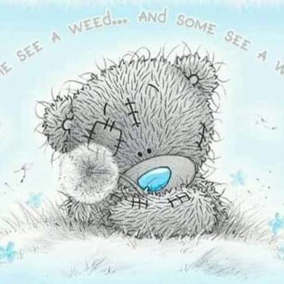 Meet your Posher, Christina lorraine - Picture 1 of 1