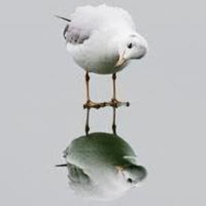 Meet your Posher, Jami