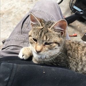 Meet your Posher, Stacty