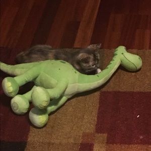 Meet your Posher, Kim