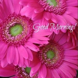 Meet your Posher, Kaila