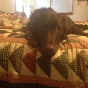 Meet your Posher, Marybeth