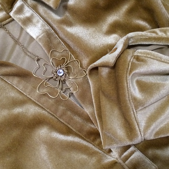 Velour shirt dress - Picture 4 of 4