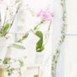 Meet your Posher, Lana