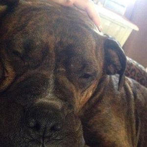 Meet your Posher, Steve