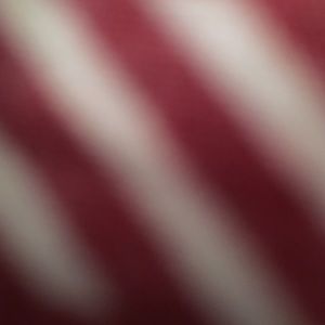 Meet your Posher, Ebony