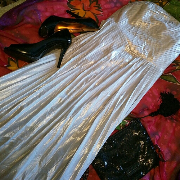 ANTONIO MELANI Dresses & Skirts - Antonio Melani formal long dress size 12