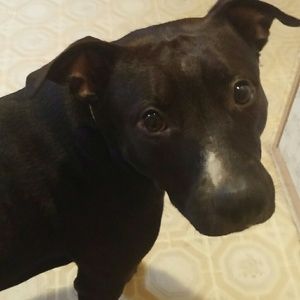 Meet your Posher, Dawn