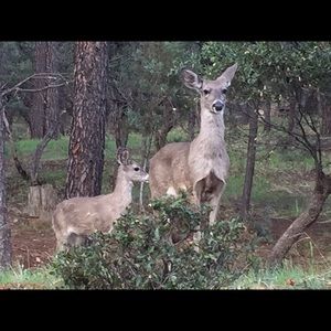 Meet your Posher, Bernie