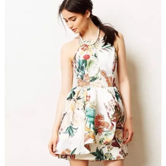 Cameo Botanic Atelier Floral Peplum Dress Medium