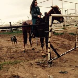 Meet your Posher, Hannah