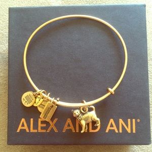 Alex And Ani Retired Cat bangle bracelet