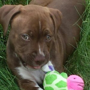 Meet your Posher, Kerri