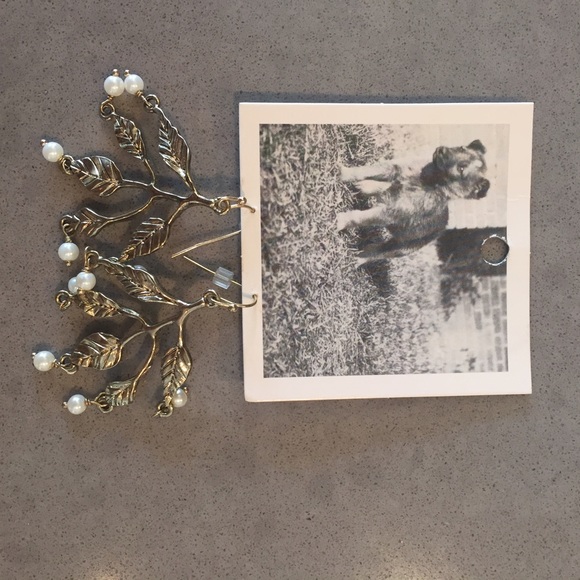 Anthropologie earnings