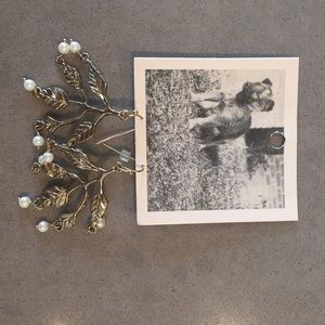 Anthropologie earnings