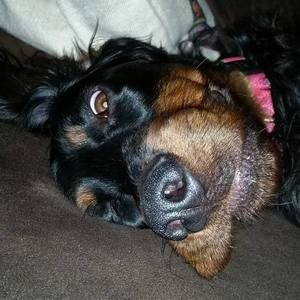 Meet your Posher, Heather