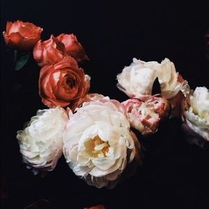 Meet your Posher, Raven