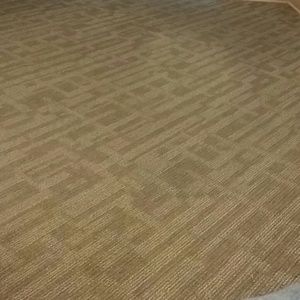 Meet your Posher, Mia