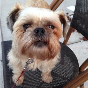 Meet your Posher, Kathi