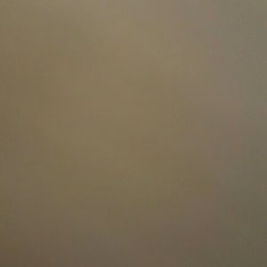 Meet your Posher, Lashun