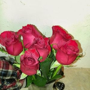 Meet your Posher, Candace