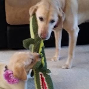 Meet your Posher, Carly