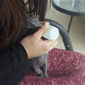 Meet your Posher, Eva