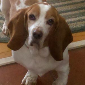 Meet your Posher, Tracey