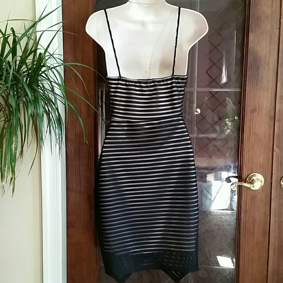 NWT Stylish Mesh Striped Black Dress Size S, L, XL - Picture 3 of 3