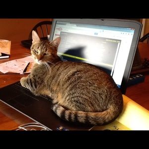 Meet your Posher, Terry