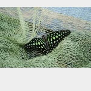 Meet your Posher, Annette