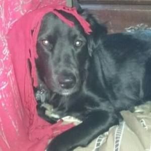 Meet your Posher, Becky