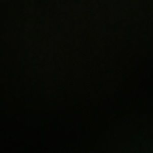 Meet your Posher, Eva