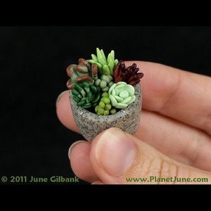 Meet your Posher, Erica