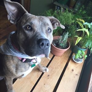 Meet your Posher, Pam