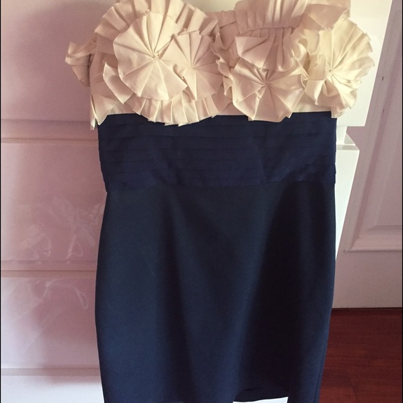 BCBG Cute Summer Spring Tight Elegant Dress!