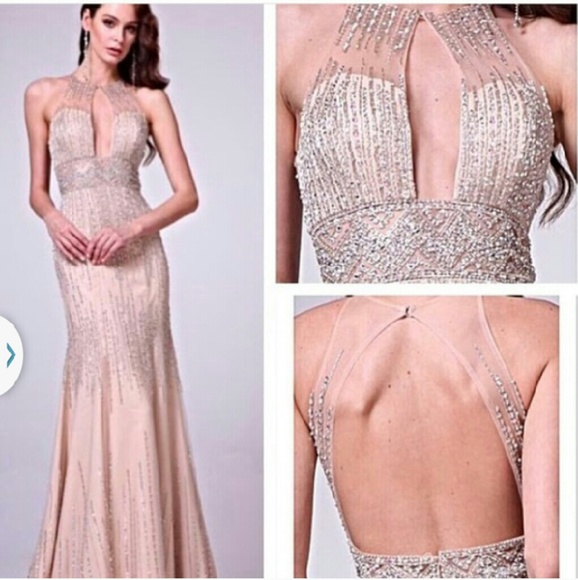 Gorgeous nude beaded gown.