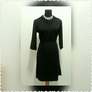 Nwt Express Career Dress